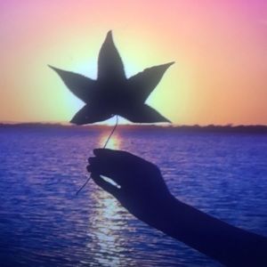 Meet your Posher, Leroy